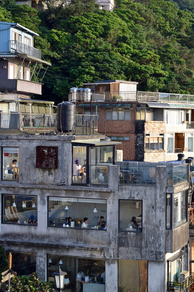 tree, weathered, no people, outdoors, city, peaceful, architecture, day, taiwan, clear, 2K, nature, window, old, construction, abandoned, reflection, residential district
