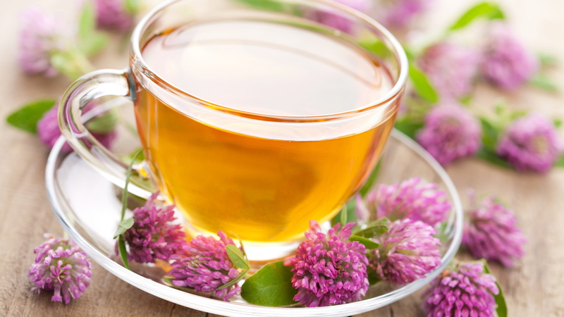 Pink, Drinks, Flowers, 4K, Tea, Saucer, Cup