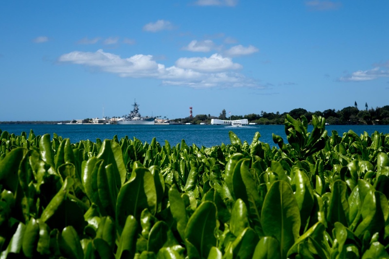 sea, nautical vessel, hawaii, food, blue, land, water, food and drink, green color, plant, cloud - sky, industry, scenics - nature, vegetable, outdoors