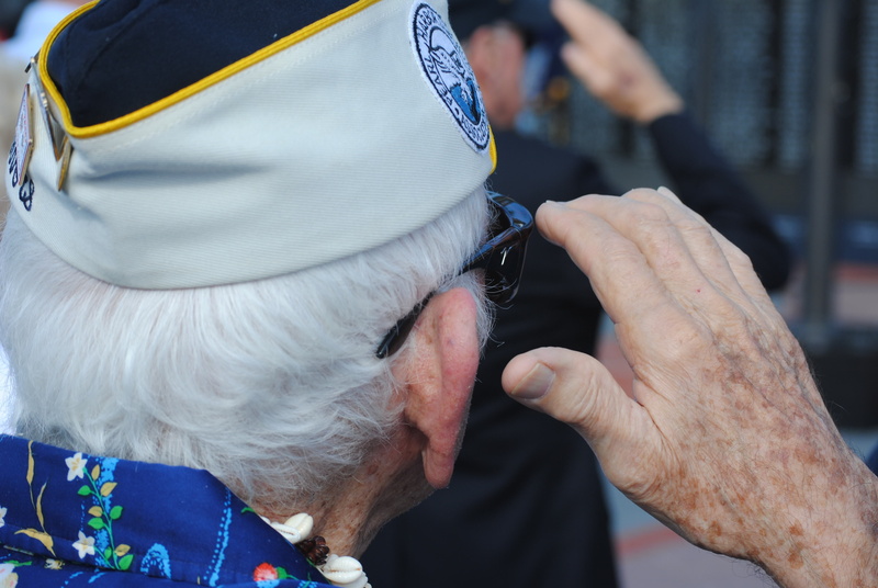 one person, military, white hair, service, focus on foreground, clothing, men, midsection, headshot, lifestyles, leisure activity, close-up, person, salute