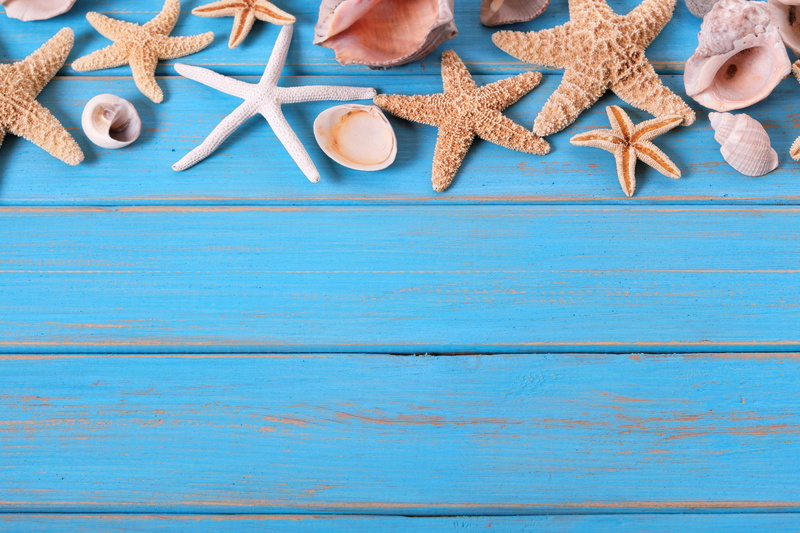 beach, star, shell, Board, summer, marine, starfish, 5K, seashells, wood, background