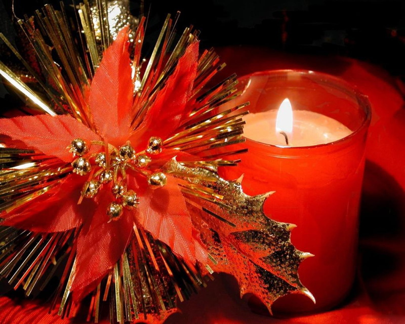 candlelight, religion, focus on foreground, lighting Equipment, new year, flowering plant, holiday, christmas, ornate, freshness, night, close-up, decoration