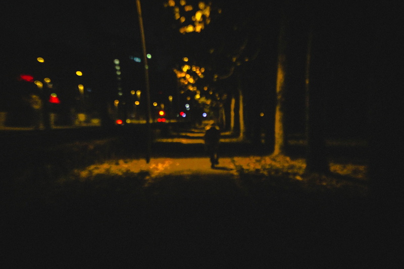 lights, car, life, street light, autumn, italy, tree, plant, streetlights, alone, travel, light - natural phenomenon, cycle, 5K, canon, no people, outdoors