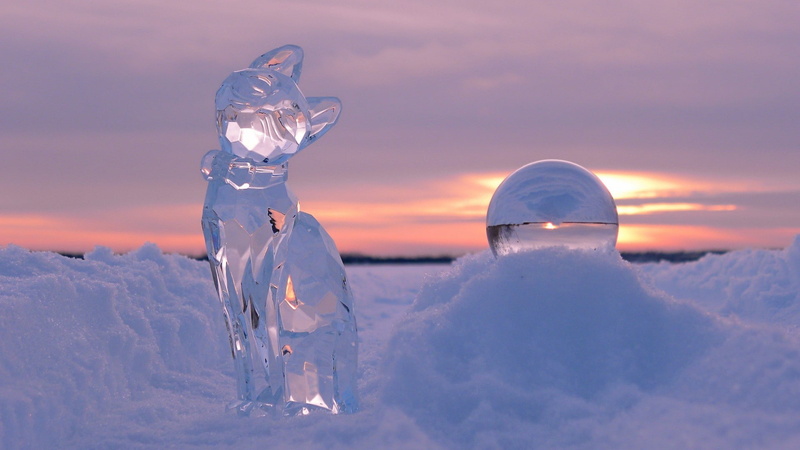 ball, nature, sunset, snow, 1080P, ice, clouds, winter, glass, depth of field, crystal, kittens, cat, reflection, sphere