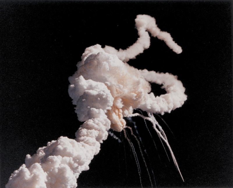 animal wildlife, close-up, misfortune, one animal, splashing, start, night, nature, time, smoke, black Color, 2K, explosion, underwater, aviation, take off