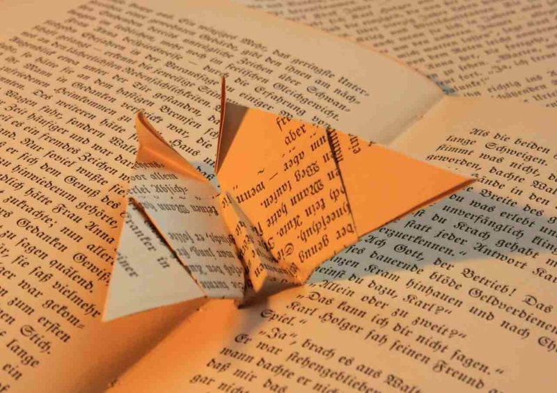 learning, page, newspaper, western script, open, human body part, literature, book page, high angle view, human hand, fold, 720P, government, paper, indoors