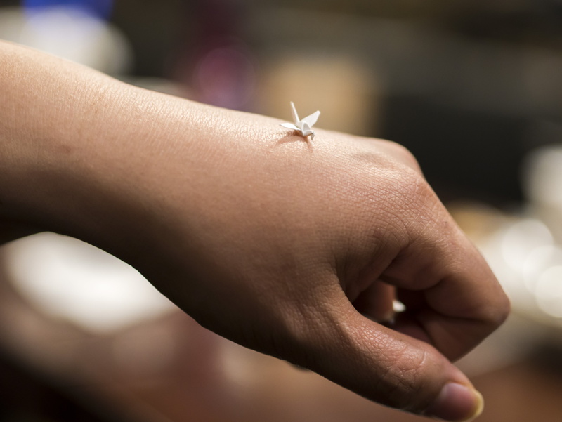 tinker, insect, one animal, white, invertebrate, day, focus on foreground, fold, small, body part, finger, close-up, one person, mini, 4K, animal wildlife
