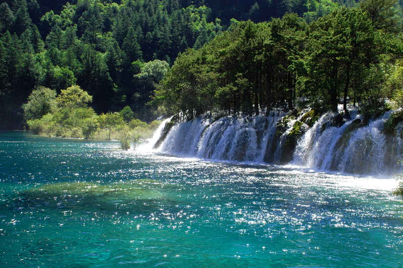 waterfall, river, leafed, sunlight, power in nature, Jiuzhaigou National Park, Sunny, motion, nature, green, land, rainforest, waterfront, trees, long exposure