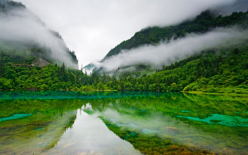 forest, national, water, evaporation, 2K, hd, fog, green, desktop, clear, china, park, jiuzhaigou, lake