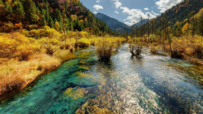 jiuzhai valley national park, crek, asia, forest, jiuzhaigou, autumn, stream, river, vegetation, valley, national park, mountain, 4K, sichuan, water, wilderness
