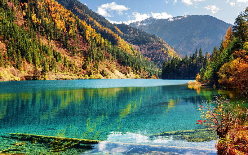 forest, waterfront, reflection, no people, coniferous tree, nature, parks, tree, flowing water, scenics - nature, mountains, sky, idyllic, outdoors, tranquility
