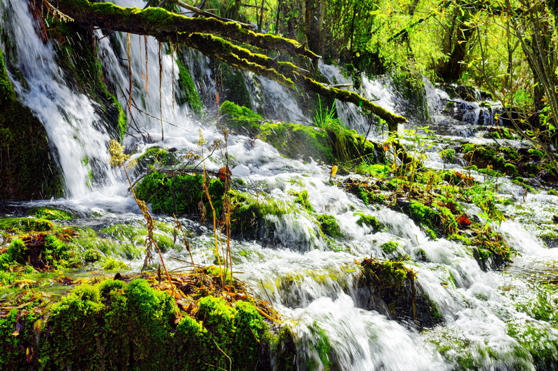 national Park, China, waterfall, Jiuzhaigou, summer, greens, the sun, branches, moss, reserve, 2K, squirt