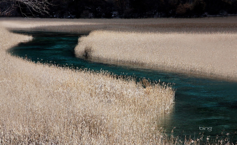 beauty in nature, Bing, land, Asia/China, jiuzhaigou, scenics - nature, beach, no people, tranquil scene, nature, Web, lake, grass, 1080P, China, sunlight