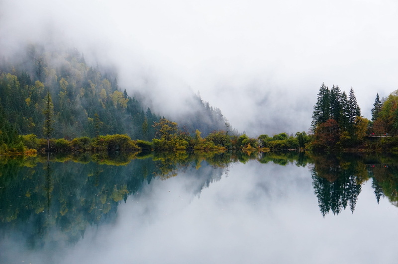 change, Lake, Jiuzhaigou, autumn, woodland, pine tree, cloud - sky, early in the morning, outdoors, landscape, no people, plant, Fog, reflection, pine woodland
