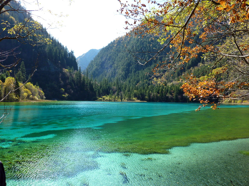 beauty in nature, China, plant, turquoise colored, Park, non-urban scene, day, tranquility, Jiuzhaigou National Park, land, forest, lake, tranquil scene