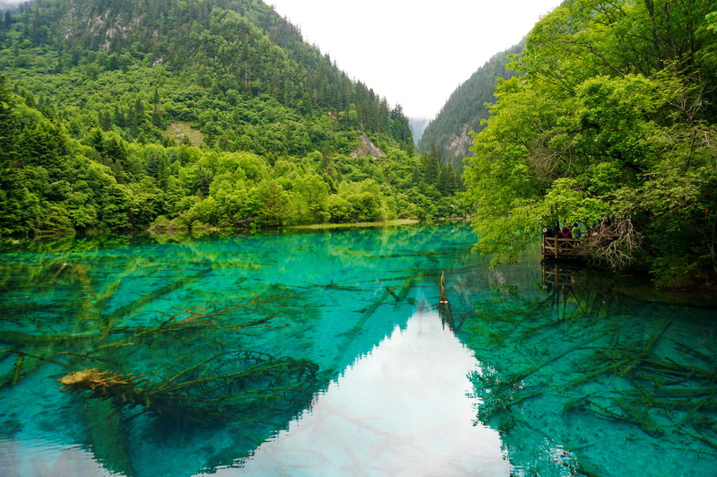 tranquil scene, water, sky, nature, photography, scenics - nature, jiuzhaigou, idyllic, plant, mountain, tree, sichuan, non-urban scene, trees, turquoise colored