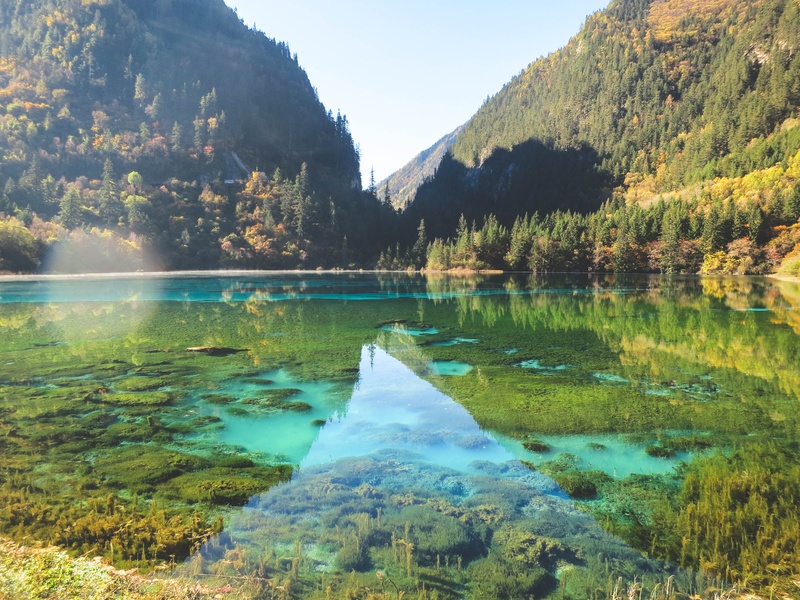 trees, reflections, environment, plant, green color, forest, mountain, travel, scene, calm, landscape, tranquil scene, crystal, remote, reflection, tree