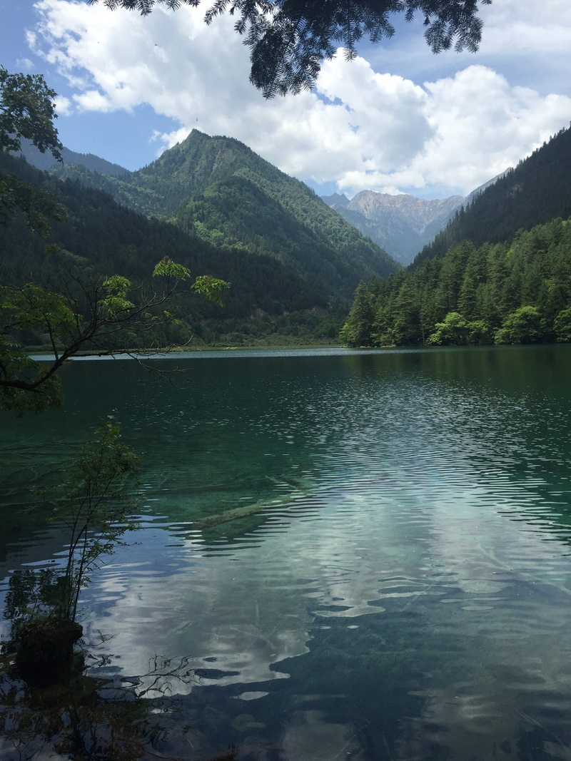 lake, reflection, tree, 2K, jiuzhaigou, tranquility, beauty in nature, non-urban scene, no people, cloud - sky, mountain, plant, mountain range, idyllic