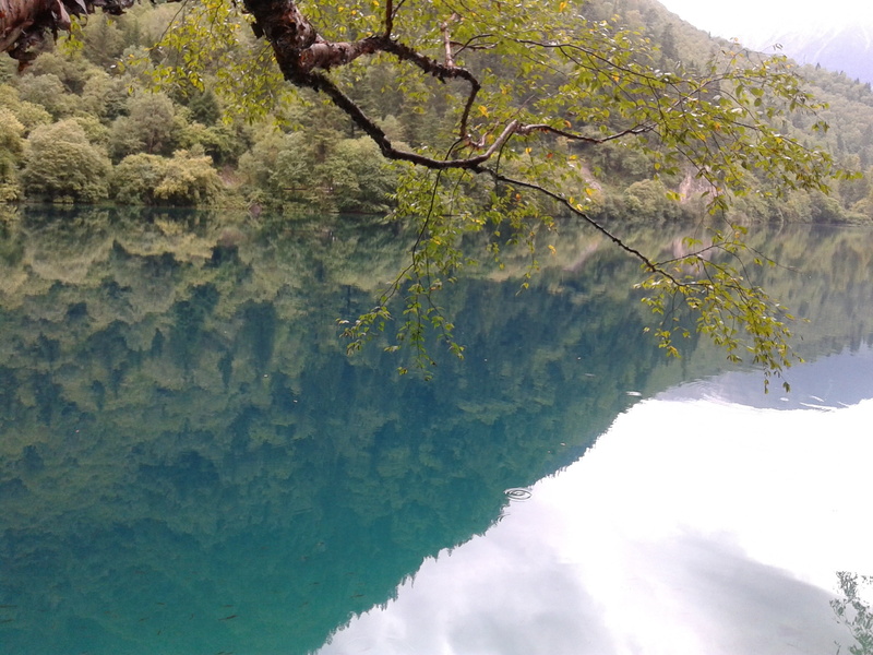 branch, non-urban scene, scenics - nature, no people, tranquility, reflection, tree, jiuzhaigou, crystal clear, beauty in nature, mountain, 2K, lake, sky