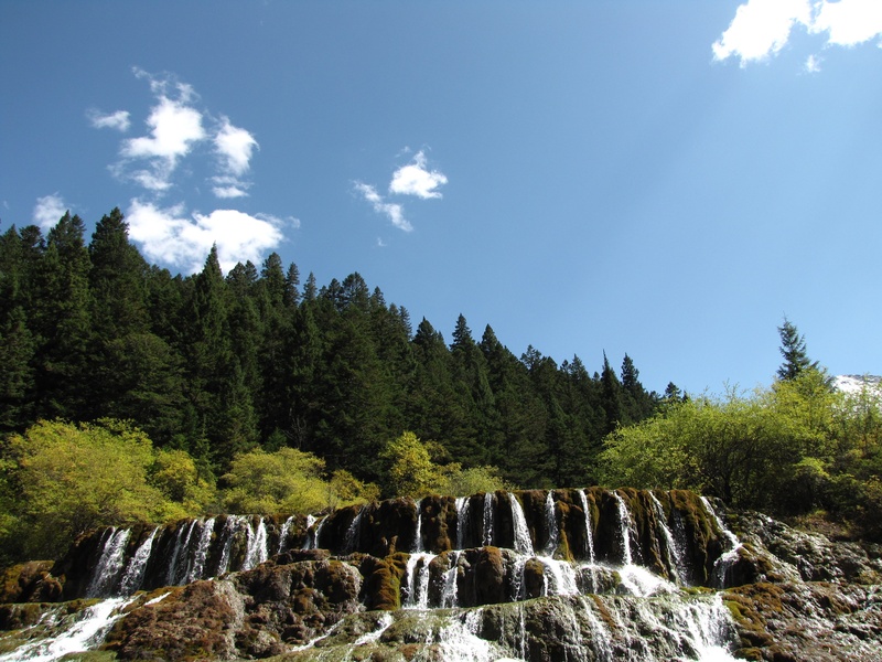 nature, flowing water, land, growth, sky, 2K, water, tree, waterfall, plant, motion, day, tranquility, power in nature, non-urban scene, forest, landscape