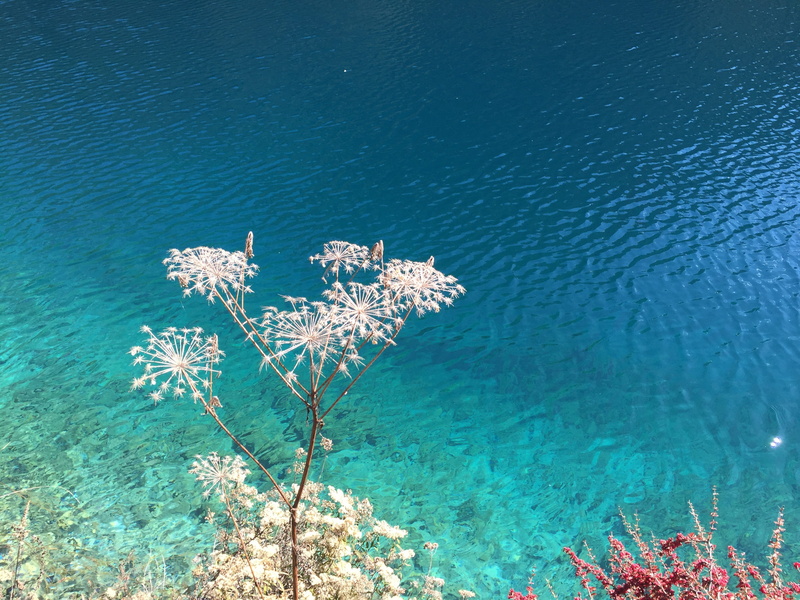 tranquil scene, no people, turquoise colored, outdoors, marine, 2K, undersea, Scenery, underwater, scenics - nature, Jiuzhaigou, Nature, blue, Herb, sea
