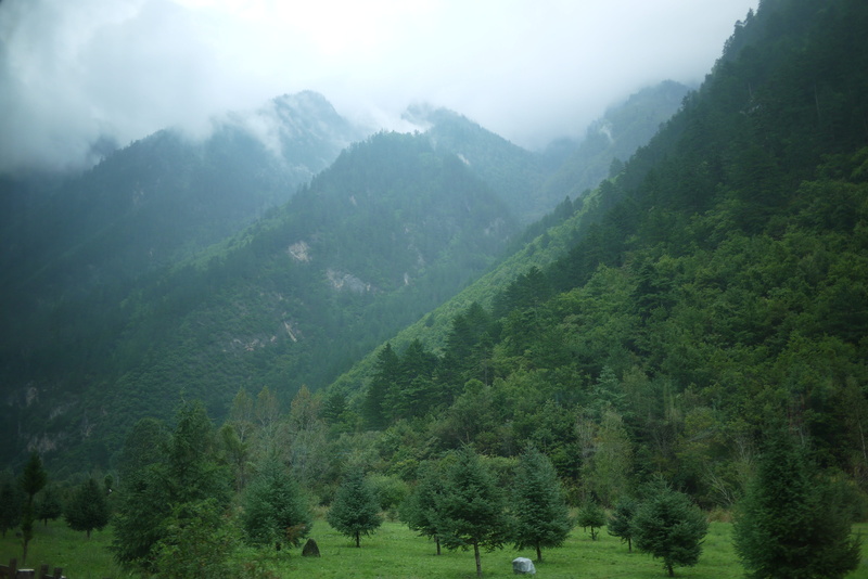 land, tranquility, outdoors, pine tree, 4K, fog, plant, white cloud, no people, the clouds, scenics - nature, Mountain, day, nature, Jiuzhaigou, forest