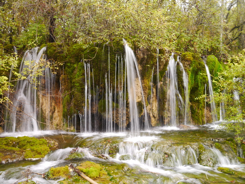 stream, forest, pearl, tree, green Color, pearl shoal, non-urban scene, nature, power in nature, rock - Object, motion, tropical Climate, 4K, shoal, leaf