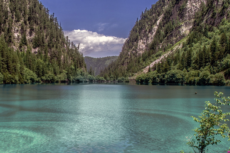 tranquility, lake, swimming pool, Heaven On Earth, non-urban scene, forest, waterfront, plant, Water, sky, tree, 2K, scenics - nature, no people, idyllic