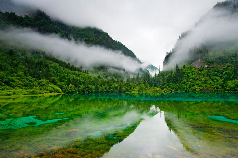 power in nature, tree, lake, sky, rainforest, land, beauty in nature, jiuzhaigou nature reserve china lake clear water trees mountain clouds five colored lake landscape