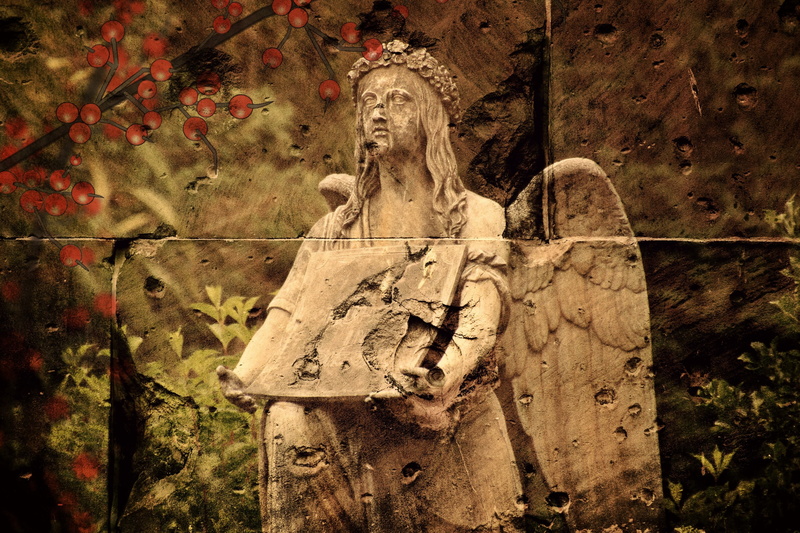 no people, antique, weathered, texture, angel wings, angel, decay, structure, grunge, mood, wall, representation, fruit, stone sculpture, lapsed, male likeness