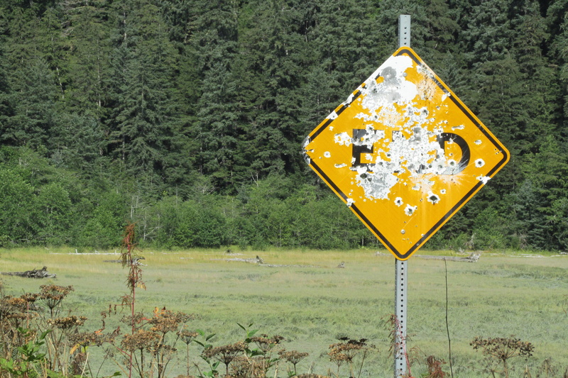 communication, sign, land, rail transportation, bullet holes, outdoors, forest, tree, road sign, non-urban scene, no people, shape, day, 4K, grass, green color