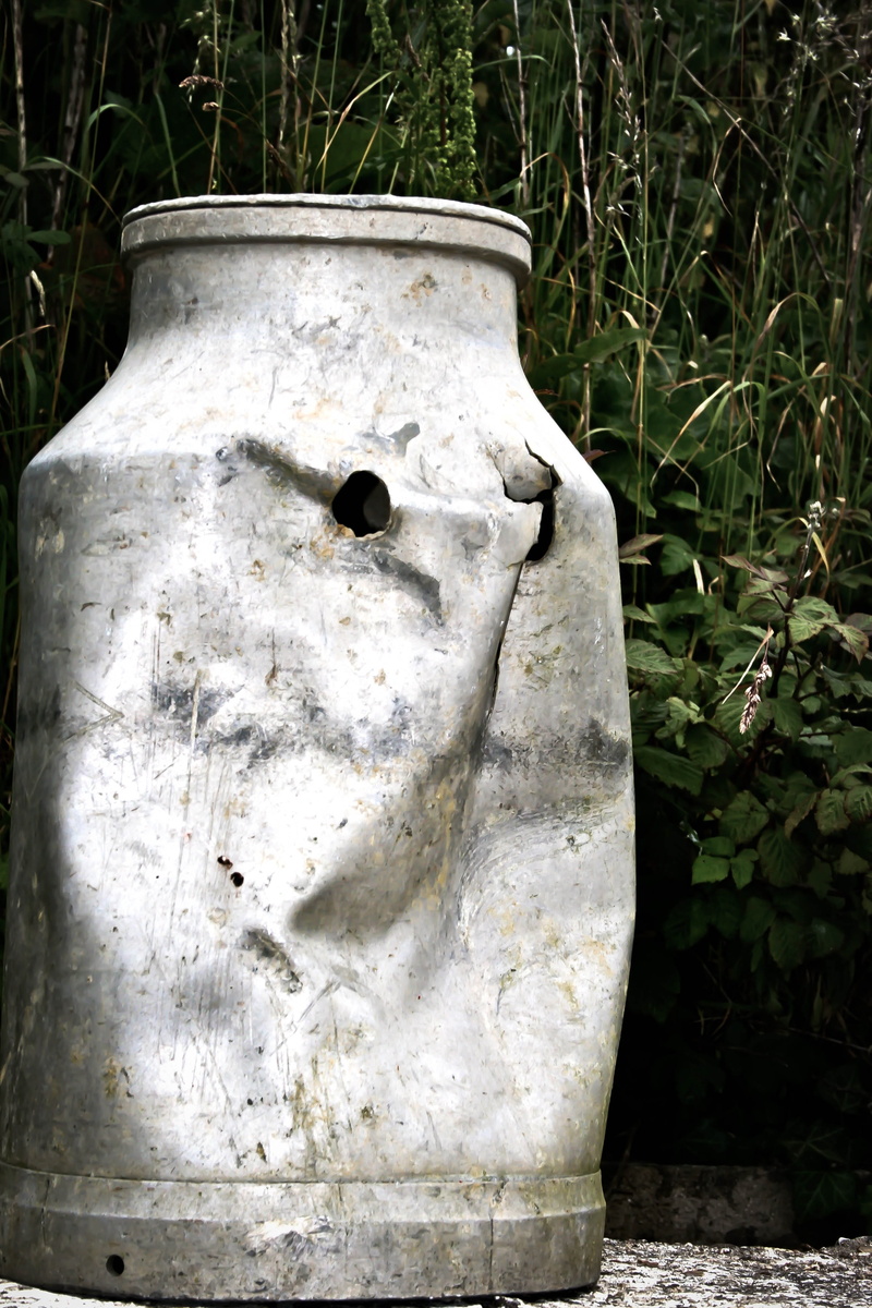 metal, close-up, gun shot, plant, left behind, decline, milk container, broken, grass, obsolete, nature, old, no people, greenery, normandy, steel, battle