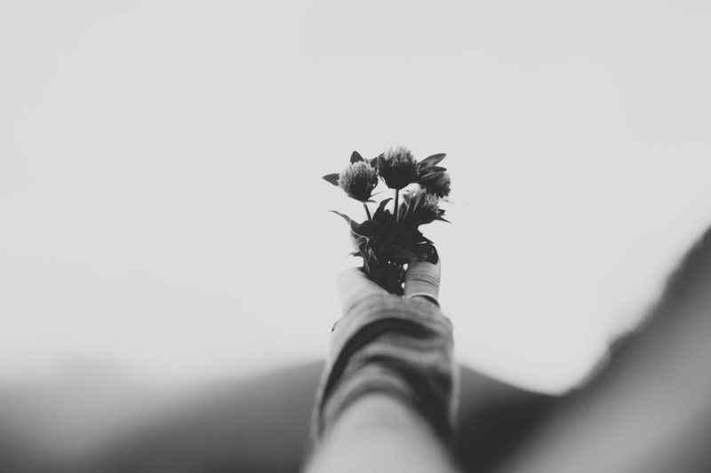 one person, person, human body part, lifestyles, daytime, flowers, vulnerability, high, photography, holding, grayscale, animal themes, pets, personal perspective
