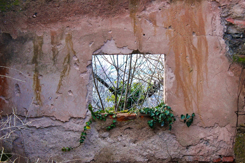 repair, ruin, ornamental, ruined, nature, Hole, damaged, Texture, scratch, day, rusty, entrance, decoration, weathered, antique, house, vintage, Tree, broken