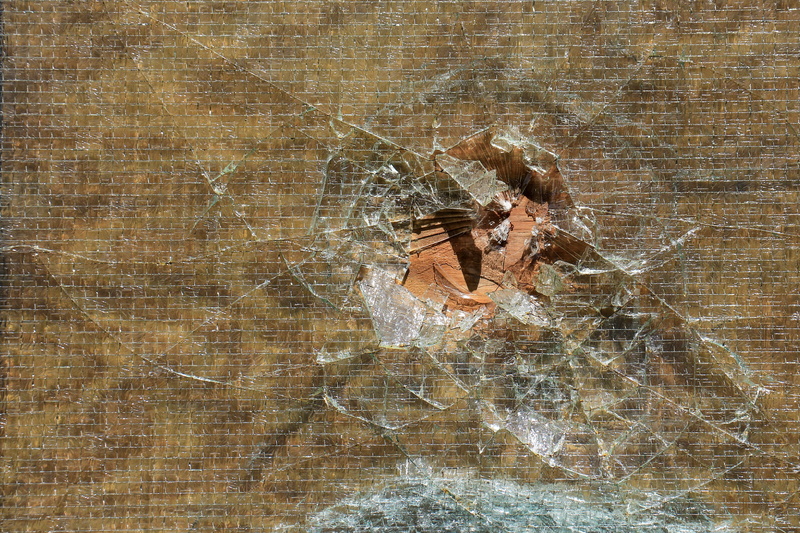 pattern, bark, broken, glass, glass breakage, damage, invertebrate, cracks, close-up, arthropod, hole, outdoors, day, jumped, animal themes, full frame
