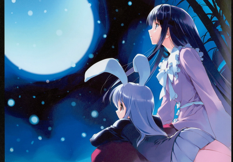 bow, the full moon, long hair, ueda ryou, kaguya houraisan, touhou project, bokeh, project East, bamboo, 2K, art, moon Bunny, night, ears, two girls, Raising