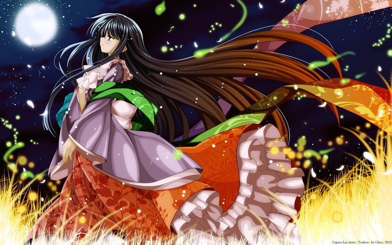 2K, night, grass, magic, long hair, Project East, the fluffy skirt, art, Capura Lin, the wind, Houraisan Kaguya, Touhou Project