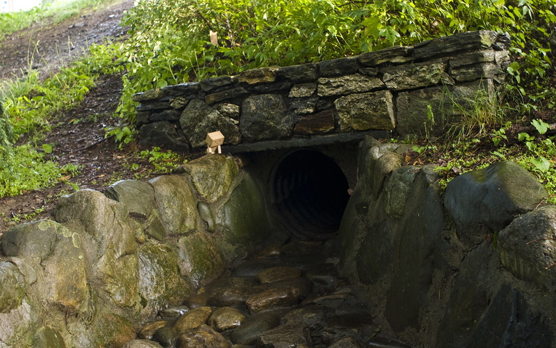 plant, built structure, solid, stone wall, architecture, wall, 1080P, amazon, tree, moss, no people, tunnel, water, Drain, day, flowing water, nature