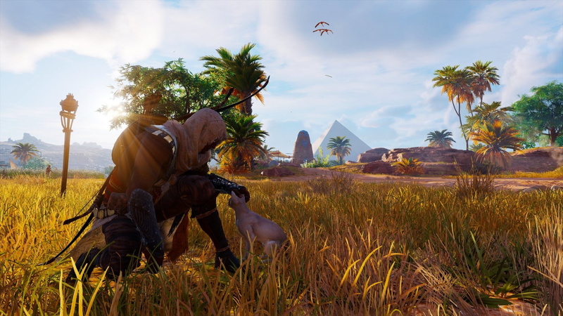 Assassins Creed, 1080P, Assassins Creed Origins, Cat, Bayek Of Siwa