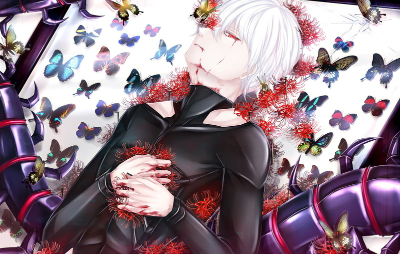 White Hair, Anime, Red Eyes, Tokyo Ghoul, Blood, Ken Kaneki, 1080P, Butterfly