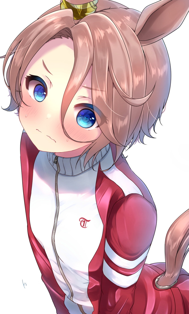 vertical, anime, Narita Taishin (Uma Musume), animal ears, embarrassed, standing, anime girls, brunette, red pants, solo, red jackets, sweatdrop, high angle