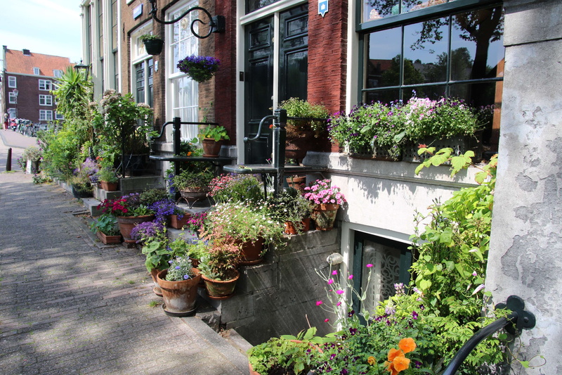 growth, no people, flowers, potted plant, 4K, gardening, fragility, outdoors, decorate, building, europe, day, garden, flower, building exterior, architecture