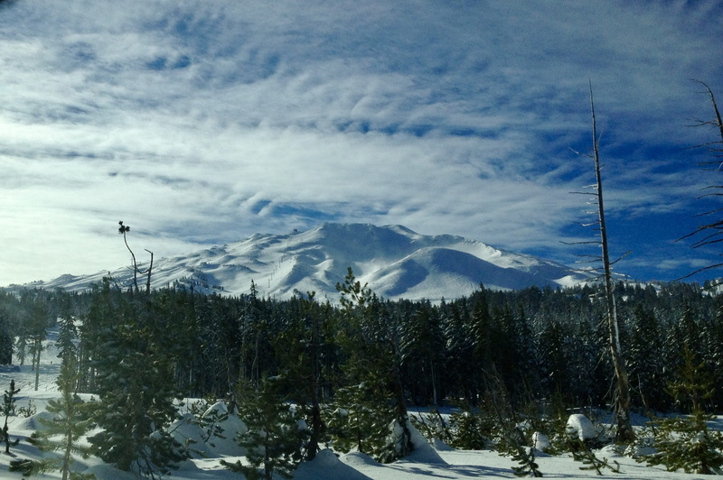 mt bachelor, 1080P, winter, nature, covering, cloud - sky, clouds, bend, united states, tranquility, beauty in nature, day, snow, sky, landscape, plant