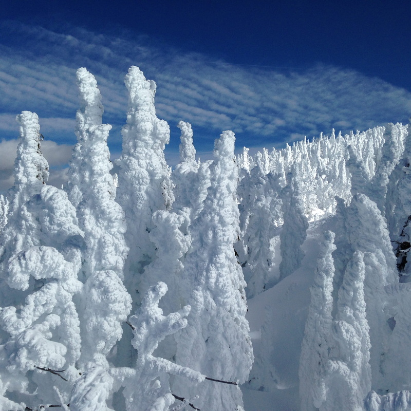 bend, beauty in nature, my bachelor, 1080P, white color, sky, environment, landscape, cloud - sky, snow, winter, powder snow, ski track, scenics - nature