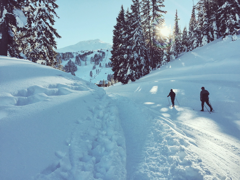 cross-country, cold, skier, fitness, scenics - nature, exercise, landscape, person, ski, active, tree, cascades, 2K, xcountry, leisure activity, snow