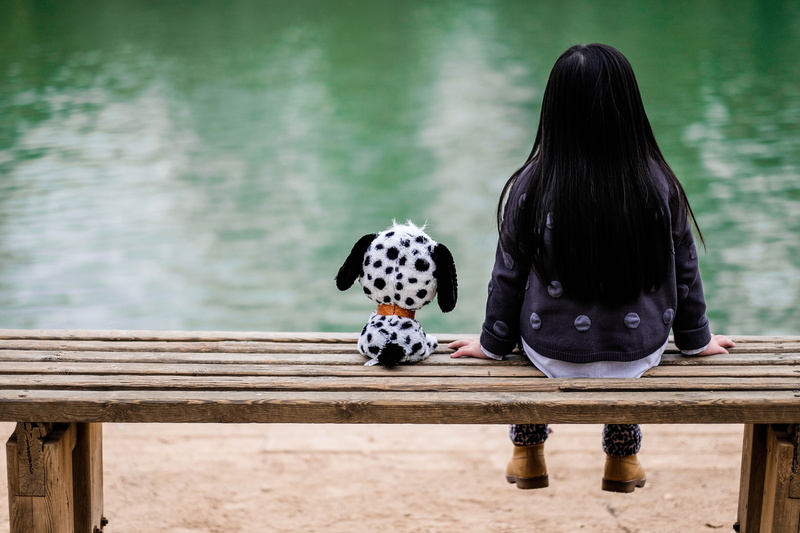 lifestyles, frields, puppy, hairstyle, plush, daytime, day, back, rear view, long hair, dog, beside, only, wood - material, admire, childhood, thoughtful
