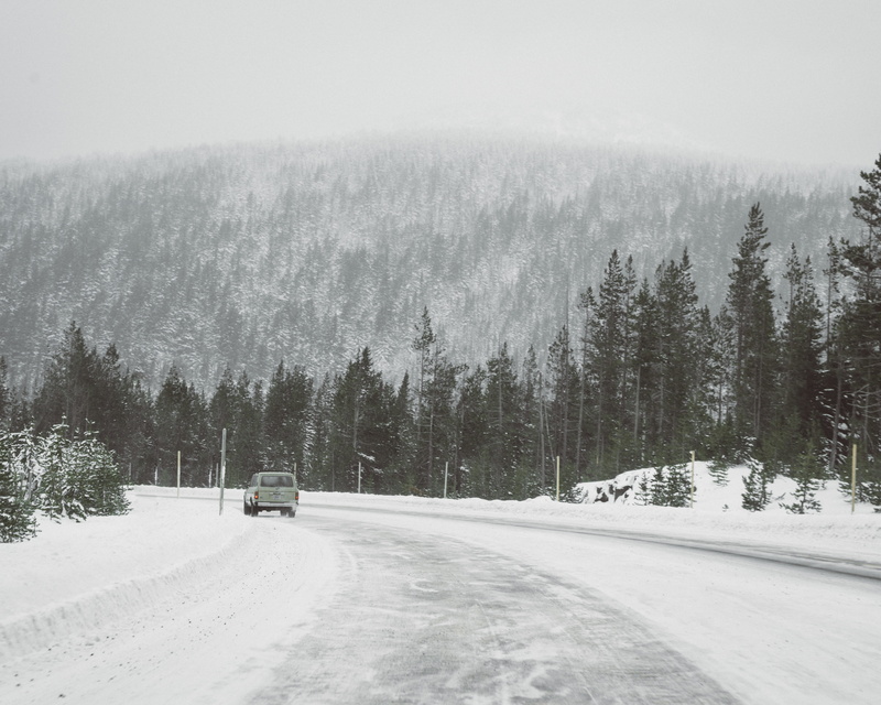 plant, road trip, extreme weather, vehicle, scenics - nature, day, wagon, land, 4K, no people, beauty in nature, truck, blizzard, motor vehicle, snow