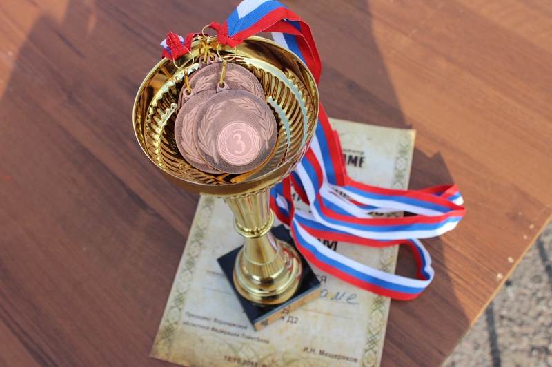 high angle view, focus on foreground, diploma, silver colored, award, no people, wood - material, gold, indoors, success, still life, 5K, trophy, day