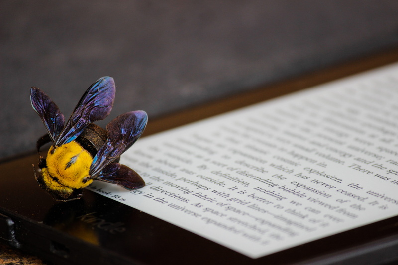 reader, bug, nature, number, butterfly - insect, high angle view, communication, no people, vulnerability, purple, animal wing, yellow, flowering plant