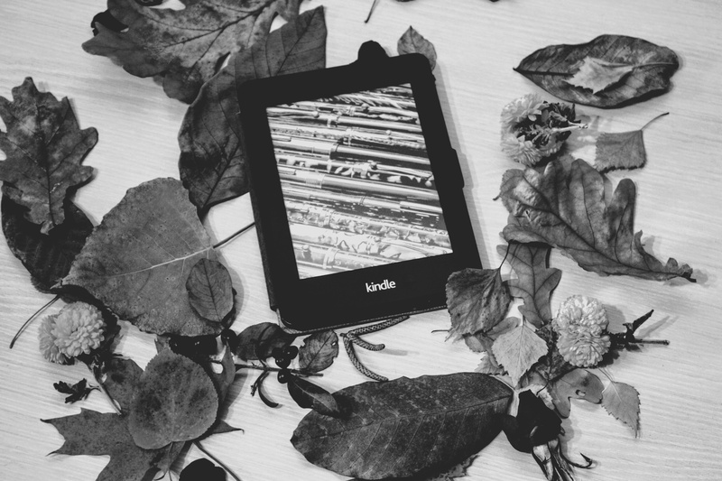 digital, book, technology, kindle, wood - material, leaves, touch, reading, e-reader, library, pepper white, flower, education, e-book, black and white